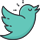 social network icon Twitter